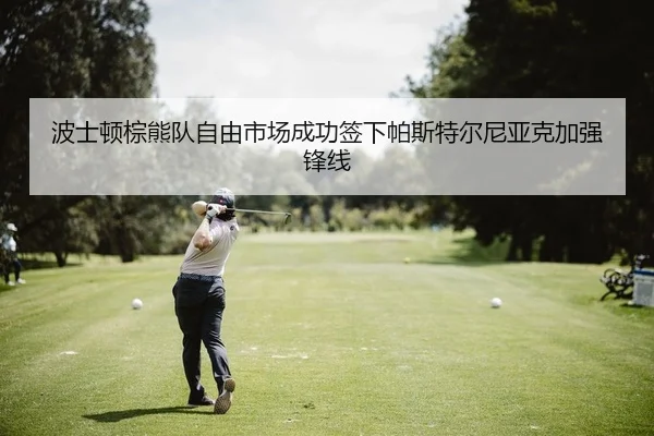 波士顿棕熊队自由市场成功签下帕斯特尔尼亚克加强锋线