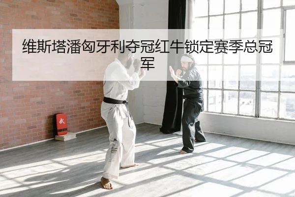 wei-si-ta-pan-xiong-ya-li-duo-guan-hong-niu-suo-ding-sai-ji-zong-guan-jun-2-960.jpg